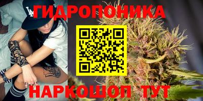 прущие грибы Бузулук