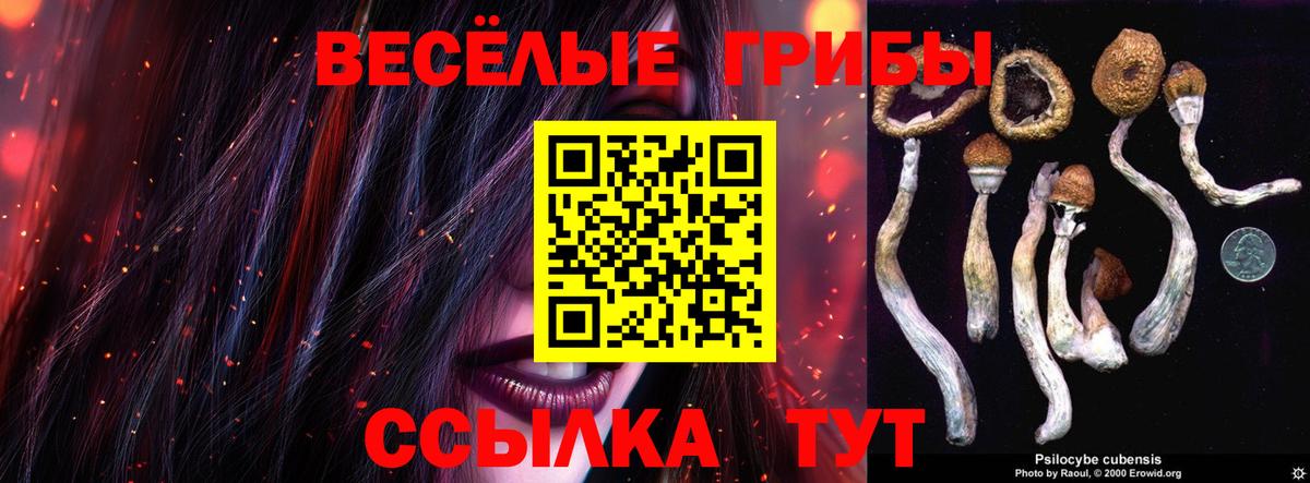 Галлюциногенные грибы ЛСД Набережные Челны