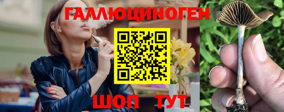 Набережные Челны  Псилоцибиновые грибы Magic Shrooms  Вход с VPN  Галлюциногенные грибы прущие грибы 